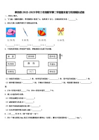 娄烦县2022-2023学年三年级数学第二学期期末复习检测模拟试题含解析