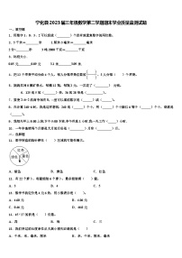 宁化县2023届三年级数学第二学期期末学业质量监测试题含解析