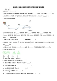 如东县2022-2023学年数学三下期末调研模拟试题含解析