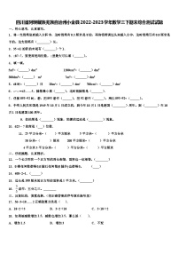 四川省阿坝藏族羌族自治州小金县2022-2023学年数学三下期末综合测试试题含解析