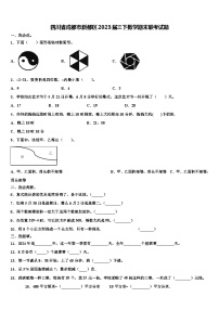 四川省成都市新都区2023届三下数学期末联考试题含解析