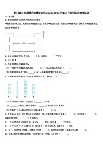 四川省甘孜藏族自治州炉霍县2022-2023学年三下数学期末统考试题含解析