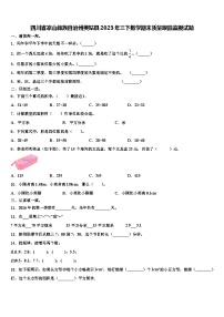 四川省凉山彝族自治州美姑县2023年三下数学期末质量跟踪监视试题含解析