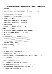 四川省凉山彝族自治州木里藏族自治县2023届数学三下期末经典试题含解析