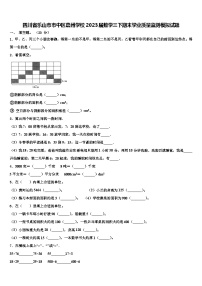 四川省乐山市市中区嘉州学校2023届数学三下期末学业质量监测模拟试题含解析