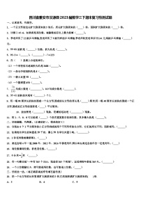 四川省雅安市汉源县2023届数学三下期末复习检测试题含解析