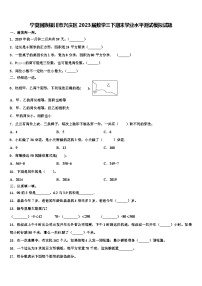 宁夏回族银川市兴庆区2023届数学三下期末学业水平测试模拟试题含解析