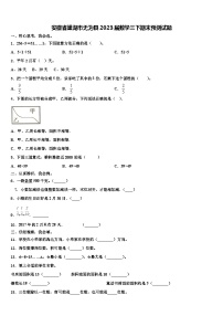 安徽省巢湖市无为县2023届数学三下期末预测试题含解析