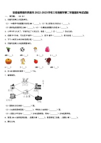 安徽省阜阳市界首市2022-2023学年三年级数学第二学期期末考试试题含解析