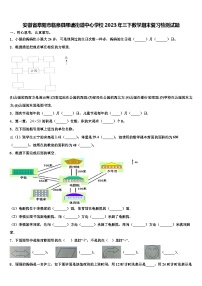 安徽省阜阳市临泉县邢塘街道中心学校2023年三下数学期末复习检测试题含解析