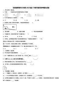 安徽省阜阳市太和县2023届三下数学期末联考模拟试题含解析