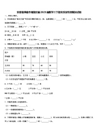 安徽省淮南市潘集区届2023届数学三下期末质量检测模拟试题含解析