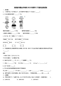 安徽省马鞍山市和县2023年数学三下期末监测试题含解析