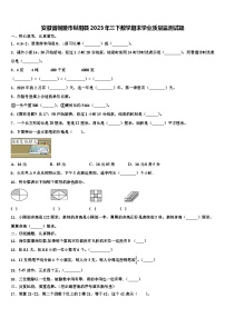 安徽省铜陵市枞阳县2023年三下数学期末学业质量监测试题含解析