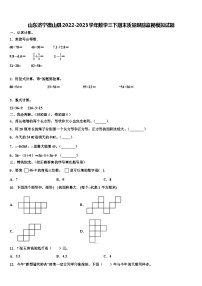 山东济宁微山县2022-2023学年数学三下期末质量跟踪监视模拟试题含解析