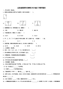 山东省滨州市无棣县2023届三下数学期末含解析