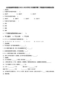 山东省德州市陵城区2022-2023学年三年级数学第二学期期末检测模拟试题含解析