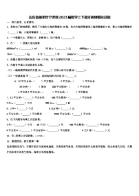 山东省德州市宁津县2023届数学三下期末调研模拟试题含解析