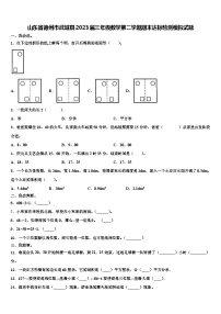 山东省德州市武城县2023届三年级数学第二学期期末达标检测模拟试题含解析