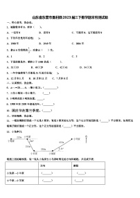 山东省东营市垦利县2023届三下数学期末检测试题含解析