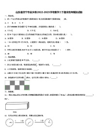 山东省济宁市金乡县2022-2023学年数学三下期末统考模拟试题含解析