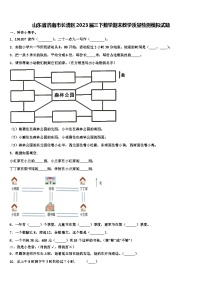 山东省济南市长清区2023届三下数学期末教学质量检测模拟试题含解析