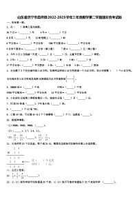 山东省济宁市嘉祥县2022-2023学年三年级数学第二学期期末统考试题含解析