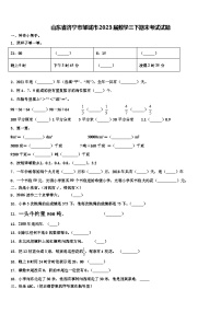 山东省济宁市邹城市2023届数学三下期末考试试题含解析