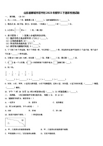 山东省聊城市茌平区2023年数学三下期末检测试题含解析