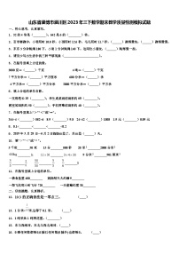 山东省淄博市淄川区2023年三下数学期末教学质量检测模拟试题含解析