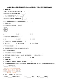 山东省淄博市高青燕园国际学校2023年数学三下期末综合测试模拟试题含解析