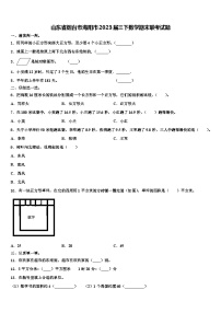 山东省烟台市海阳市2023届三下数学期末联考试题含解析