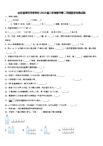 山东省潍坊市寒亭区2023届三年级数学第二学期期末经典试题含解析