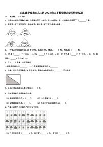 山东省枣庄市台儿庄区2023年三下数学期末复习检测试题含解析