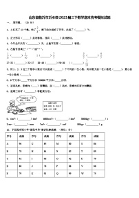 山东省临沂市沂水县2023届三下数学期末统考模拟试题含解析