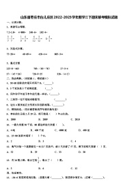 山东省枣庄市台儿庄区2022-2023学年数学三下期末联考模拟试题含解析