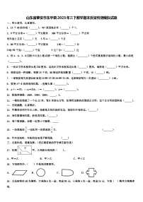 山东省泰安市东平县2023年三下数学期末质量检测模拟试题含解析