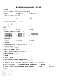 山东省青岛市崂山区2023年三下数学期末含解析