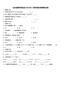 山东省淄博市博山区2023年三下数学期末调研模拟试题含解析