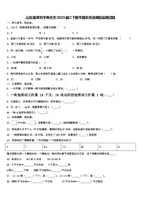 山东省潍坊市寿光市2023届三下数学期末质量跟踪监视试题含解析