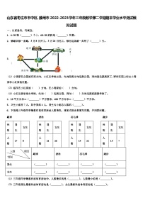 山东省枣庄市市中区、滕州市2022-2023学年三年级数学第二学期期末学业水平测试模拟试题含解析