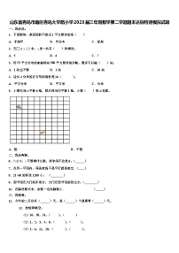 山东省青岛市南区青岛大学路小学2023届三年级数学第二学期期末达标检测模拟试题含解析