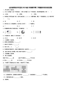 山东省青岛市市北区2023届三年级数学第二学期期末综合测试试题含解析