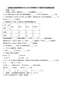 山西省吕梁地区柳林县2022-2023学年数学三下期末综合测试模拟试题含解析