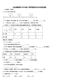 山东省禹城市2023届三下数学期末学业水平测试试题含解析