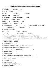 巴音郭楞蒙古自治州轮台县2023届数学三下期末统考试题含解析