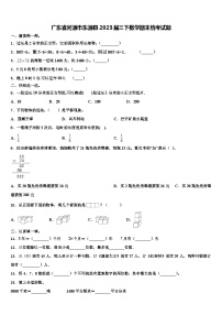 广东省河源市东源县2023届三下数学期末统考试题含解析