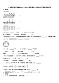 广东省河源市连平县2022-2023学年数学三下期末教学质量检测试题含解析