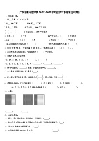 广东省惠州博罗县2022-2023学年数学三下期末统考试题含解析