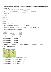 广东省揭阳市榕城区空港经济区2022-2023学年数学三下期末质量跟踪监视模拟试题含解析